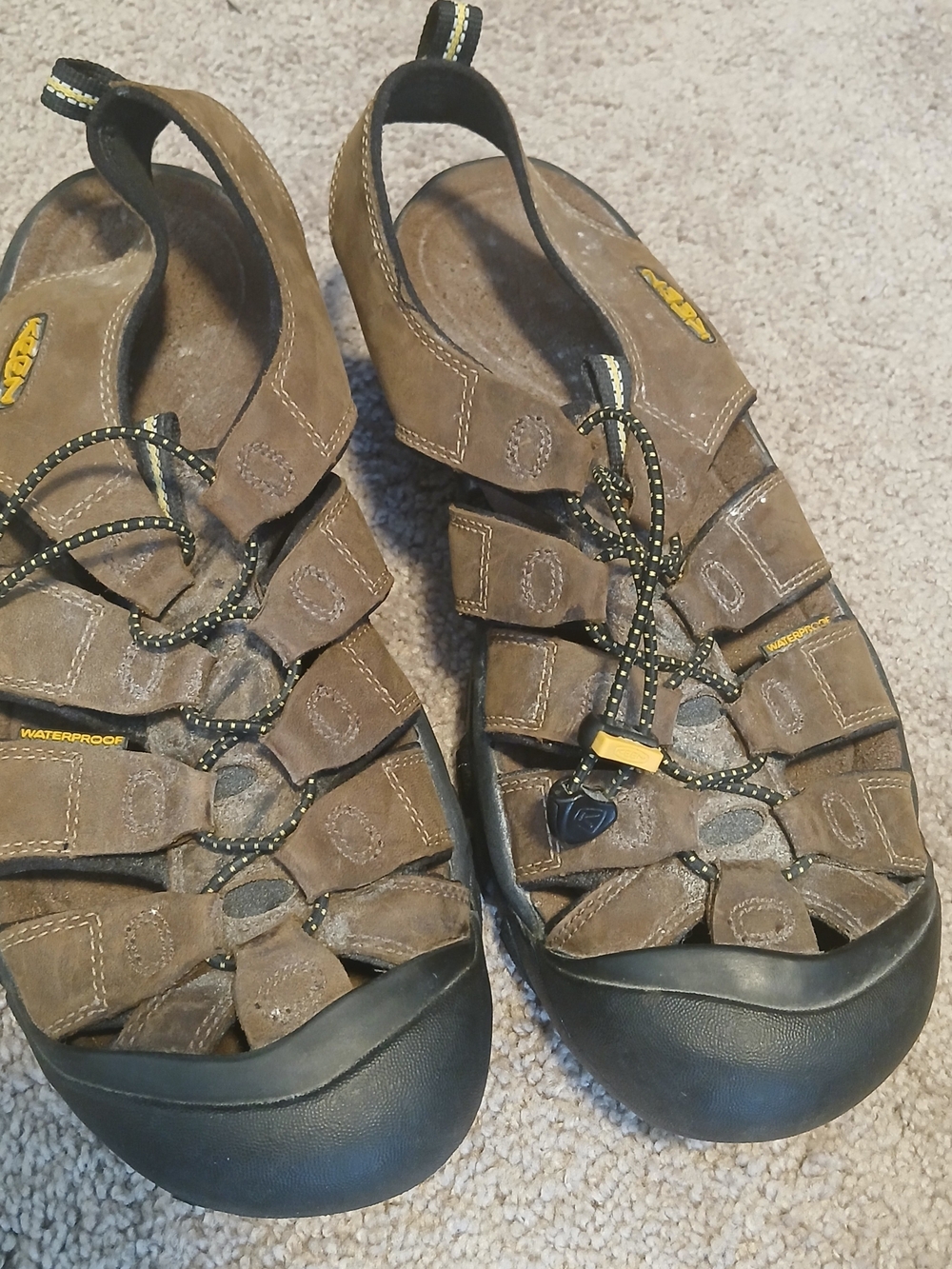 Keen Newport H2 fisherman sandals in a men's size 12.